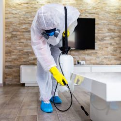 Disinfection Inspector