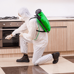 whole-house-disinfection-services-with-heroes-restoration-inc